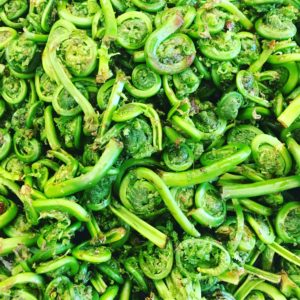 fiddleheads-1 | Box Of Maine